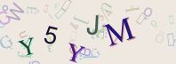 This is a captcha-picture. It is used to prevent mass-access by robots. (see: www.captcha.net)
