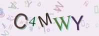 This is a captcha-picture. It is used to prevent mass-access by robots. (see: www.captcha.net)